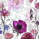 תמונת טפט פרחים סגולים