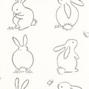 טפט ארנבים שחור-לבן | 10549050