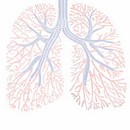 תמונת טפט מערכת הנשימה